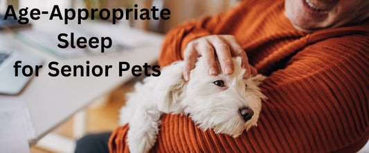 Age-appropriate sleep for senior pets