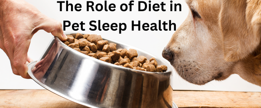 The role of diet in pet sleep health