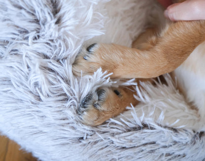 Winter Grey Pawfect Calming Donut Bed