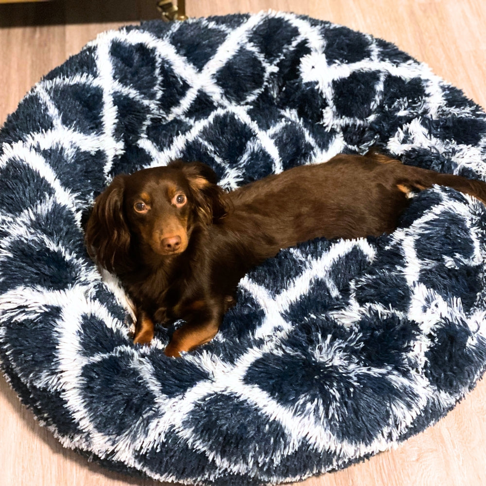 Dynamic Blue Pawfect Calming Donut Bed