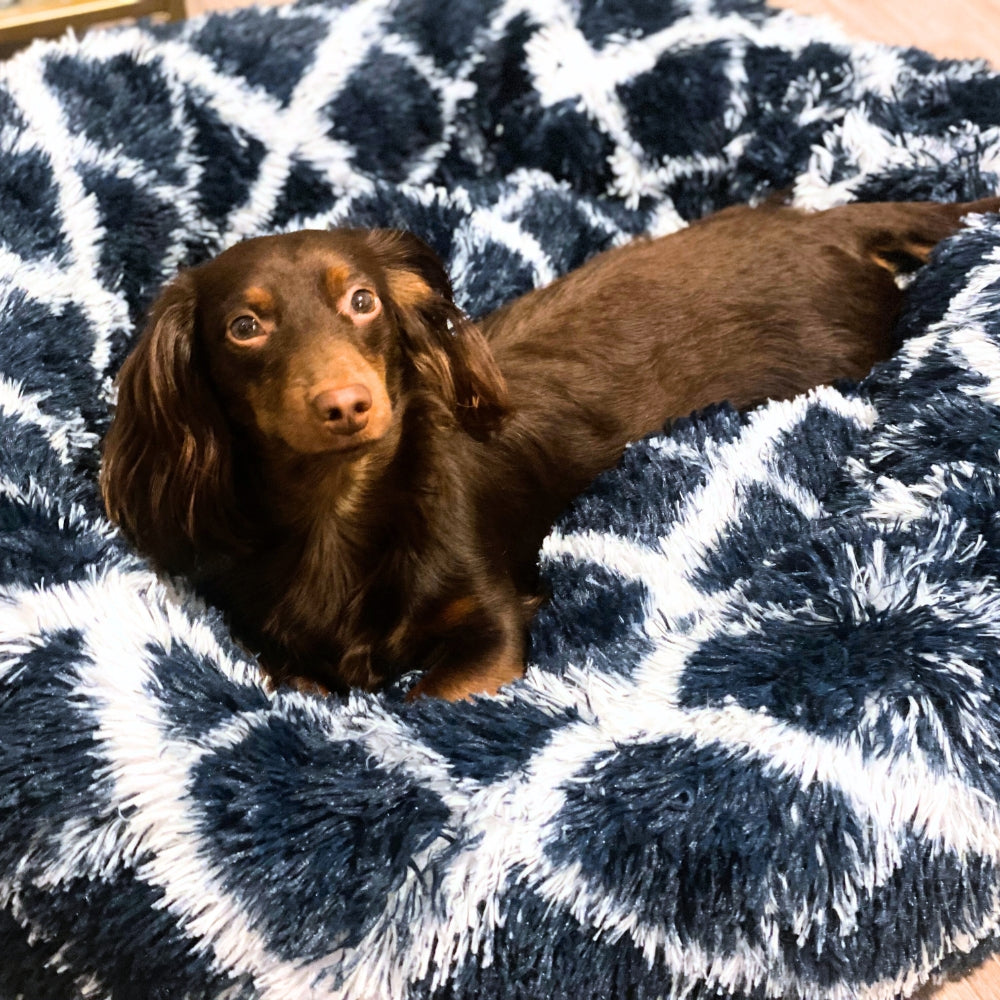 Dynamic Blue Pawfect Calming Donut Bed