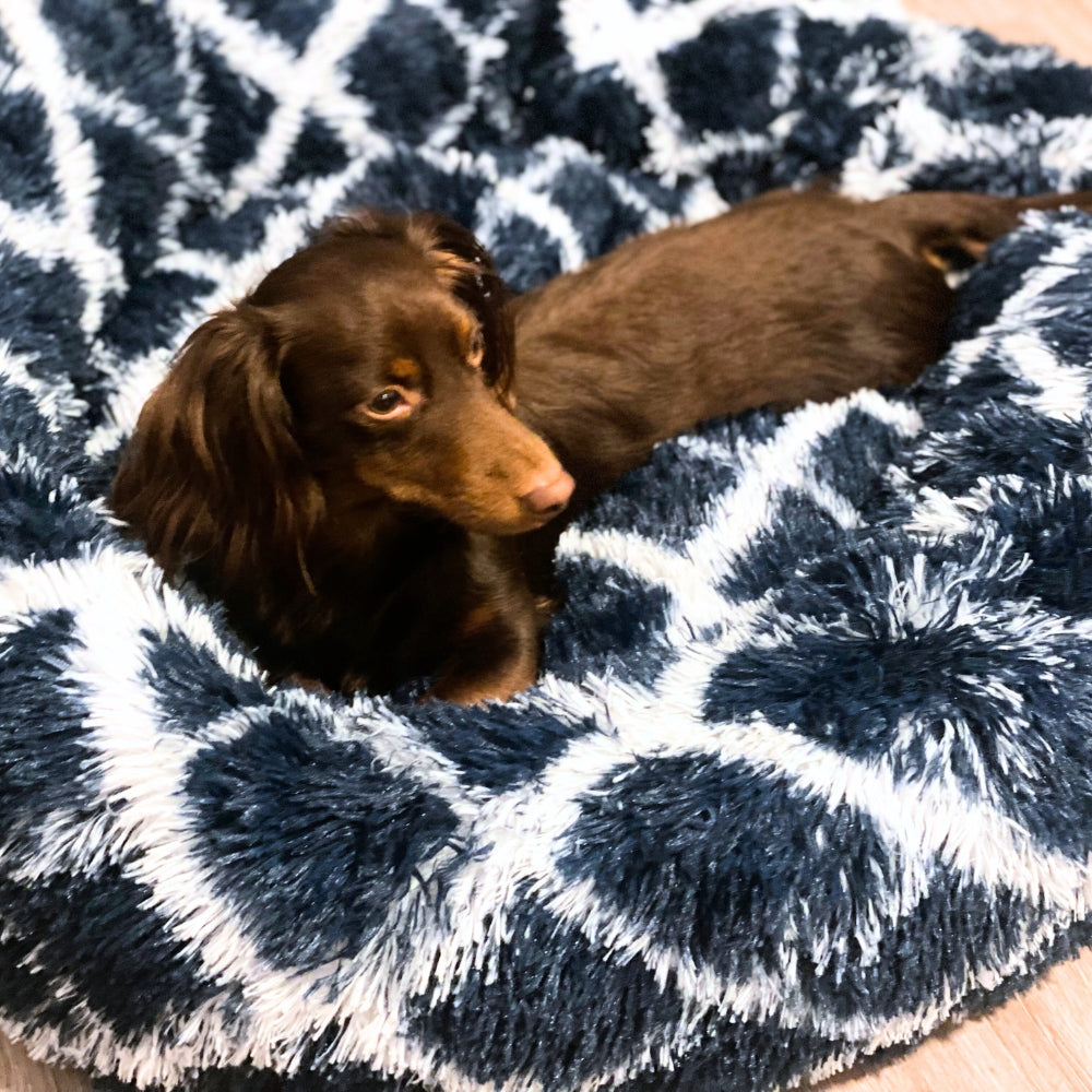 Dynamic Blue Pawfect Calming Donut Bed