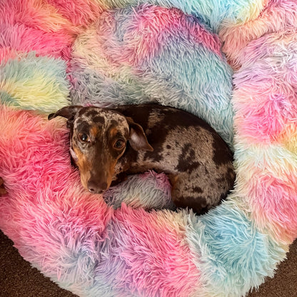 Rainbow Pawfect Calming Donut Bed